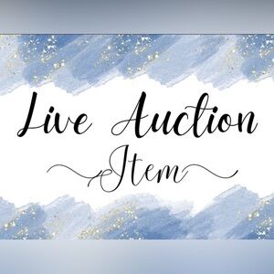 NWT Anthropologie a'reve Black Lace Ruffle Dress